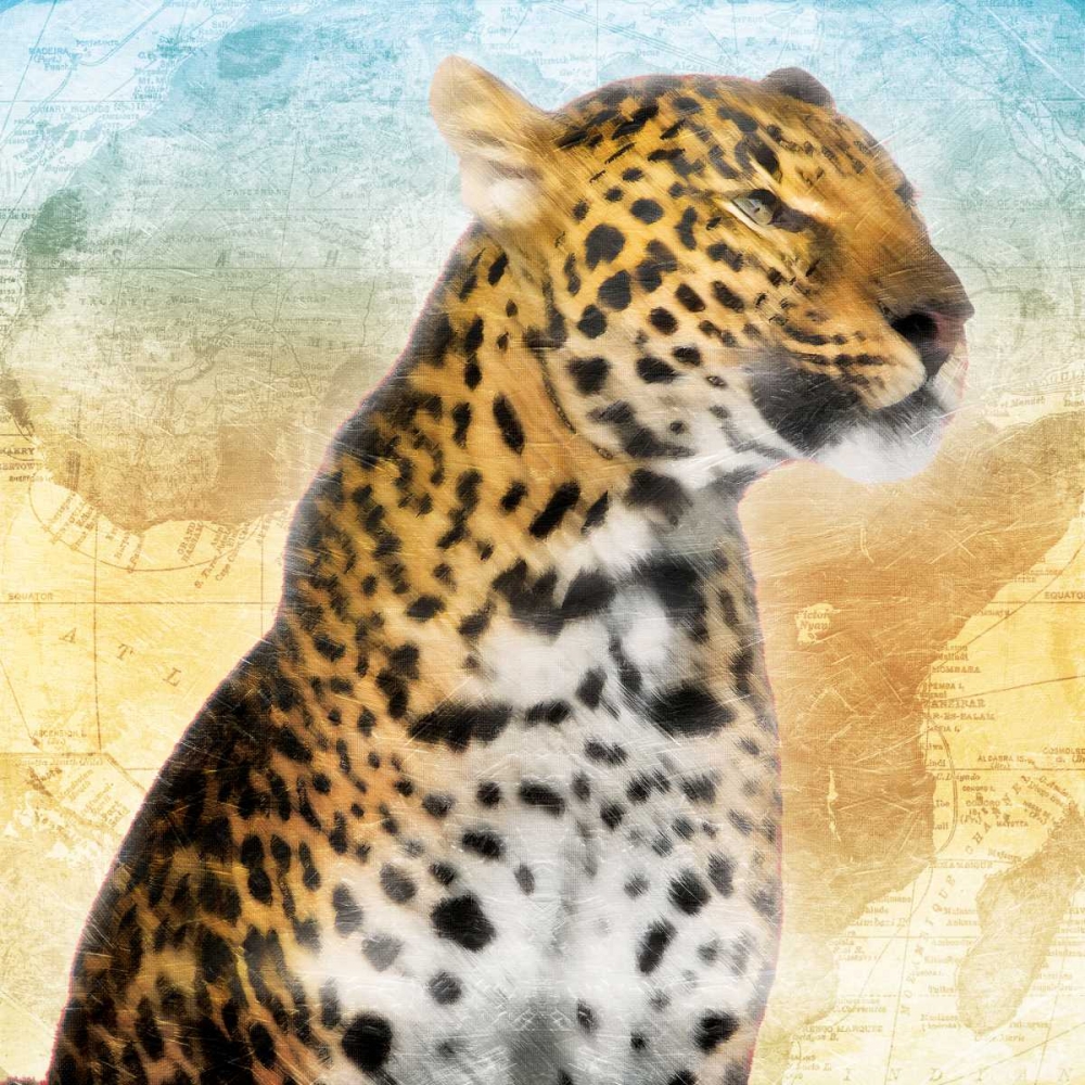 Africa Sunrise One art print by Jace Grey for $57.95 CAD