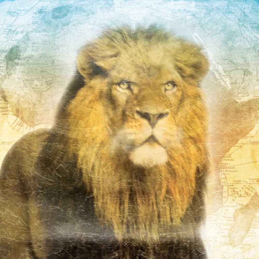 Africa Sunrise Two art print by Jace Grey for $57.95 CAD