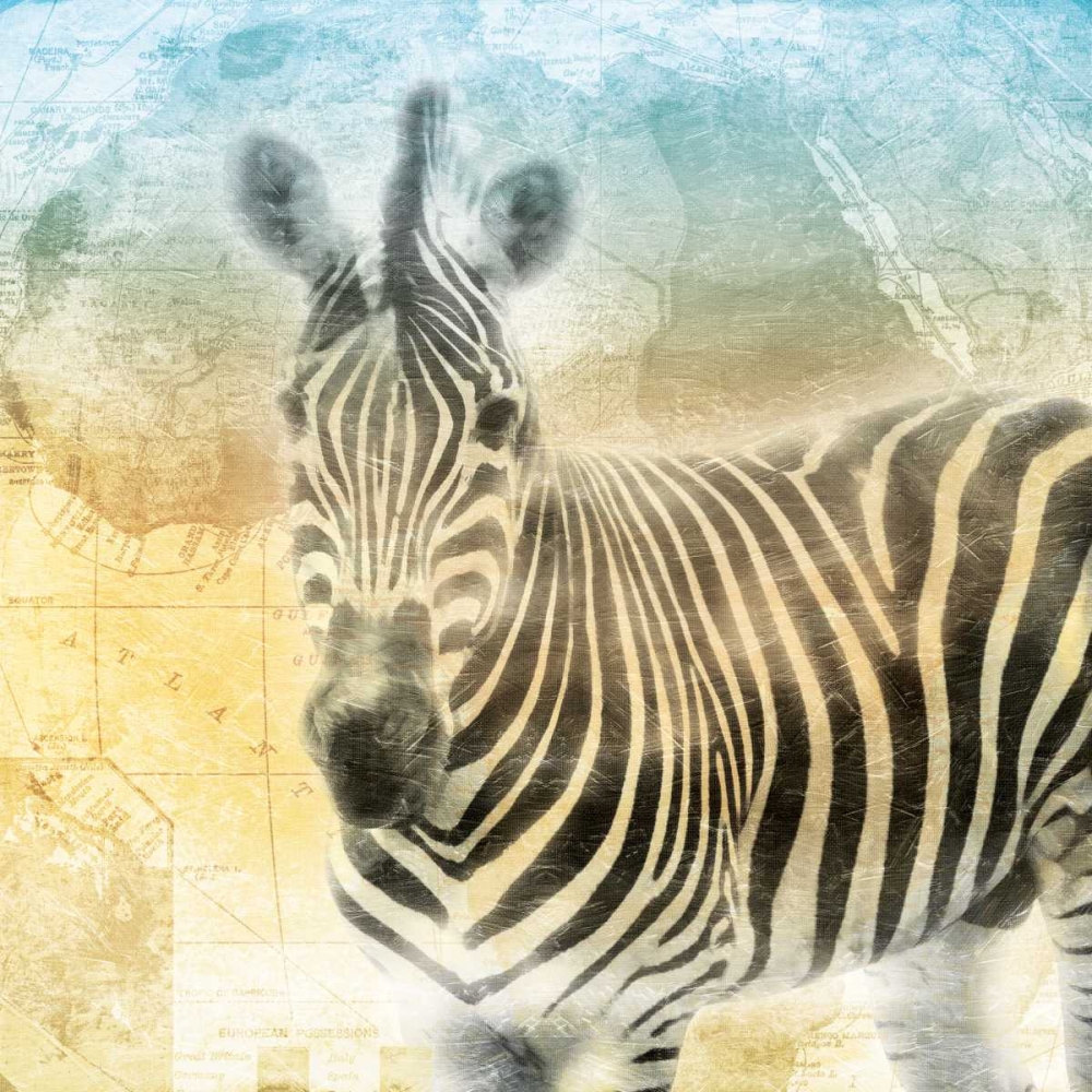 Africa Sunrise Three art print by Jace Grey for $57.95 CAD
