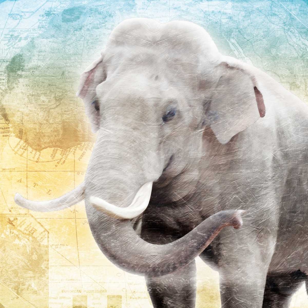 Africa Sunrise Four art print by Jace Grey for $57.95 CAD