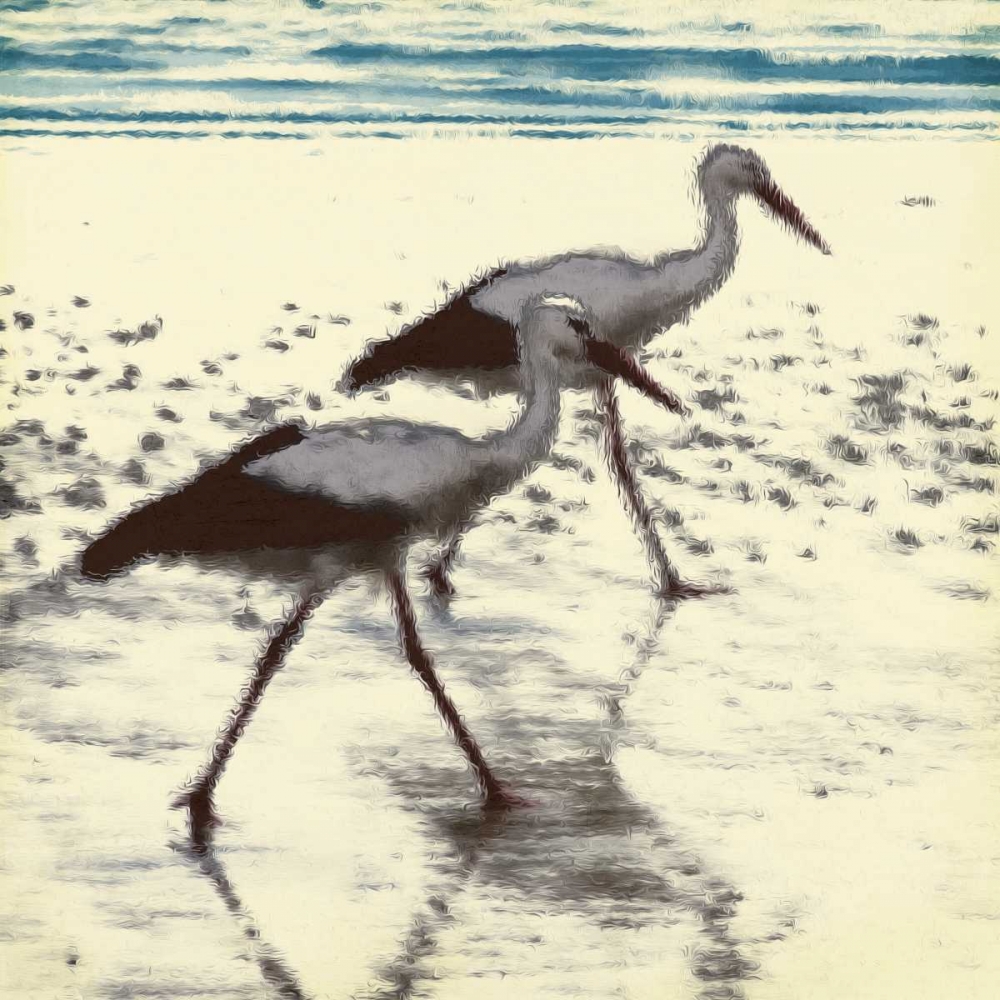 Birds At Sea Again art print by Jace Grey for $57.95 CAD