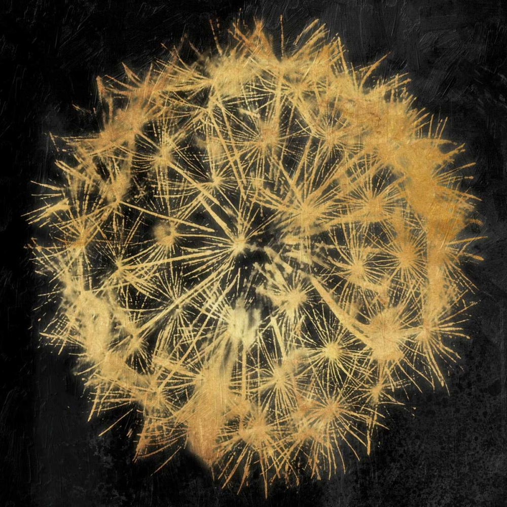 Rich Gold Dandelion art print by Jace Grey for $57.95 CAD