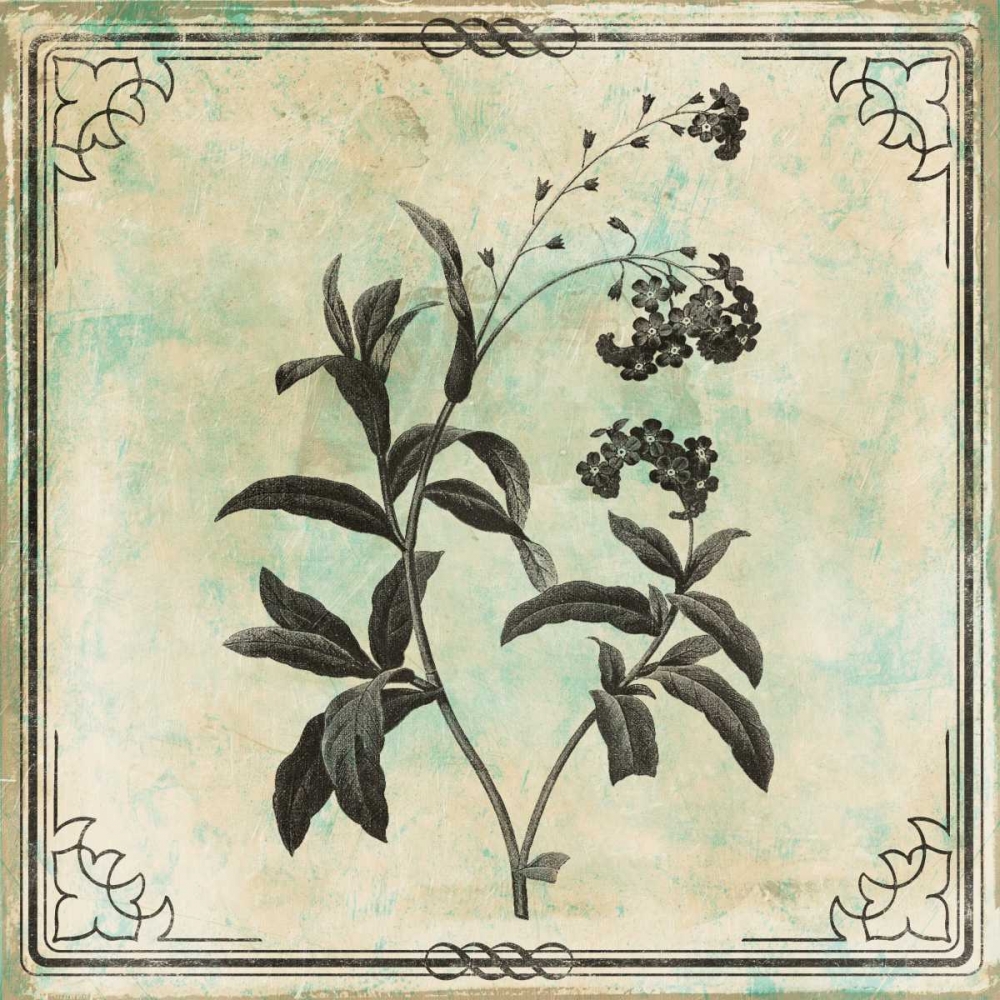 Bordered Stencil Floral art print by Jace Grey for $57.95 CAD