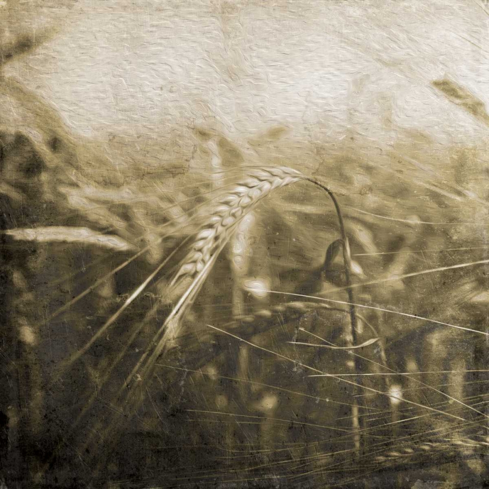 Wheat Fields Mate art print by Jace Grey for $57.95 CAD