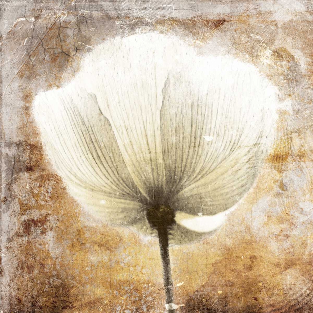 Golden White Greige art print by Jace Grey for $57.95 CAD
