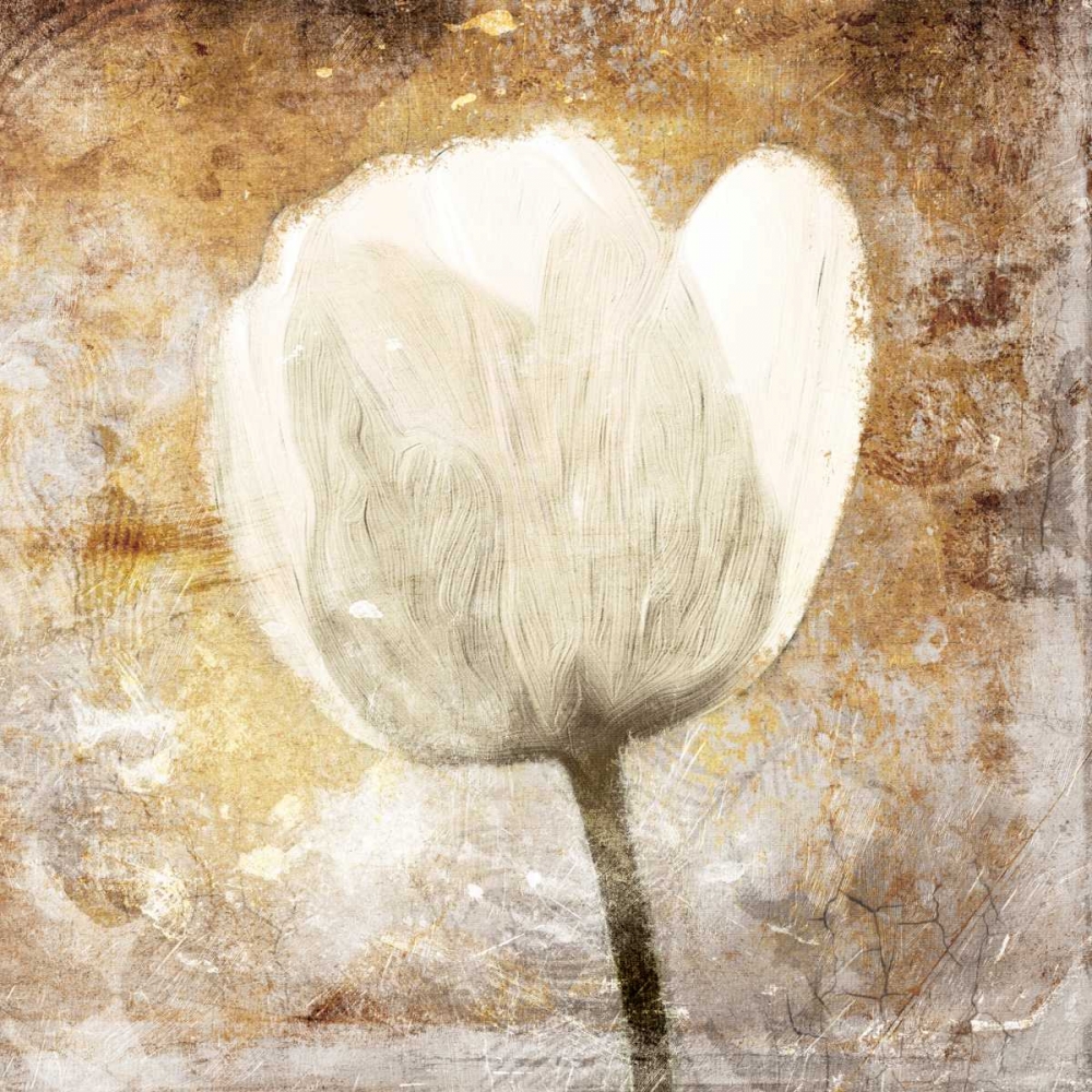 Golden White Greige Mate art print by Jace Grey for $57.95 CAD