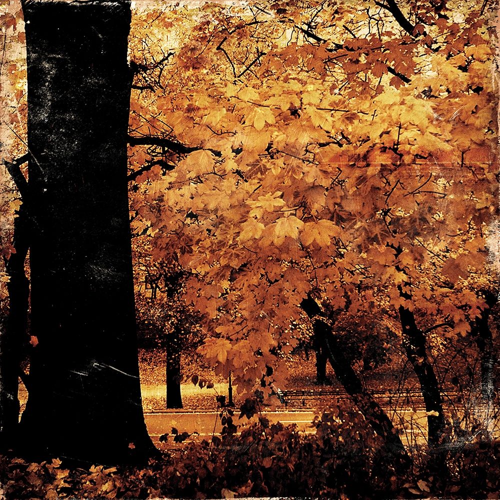 Fall Forest Mate art print by Jace Grey for $57.95 CAD