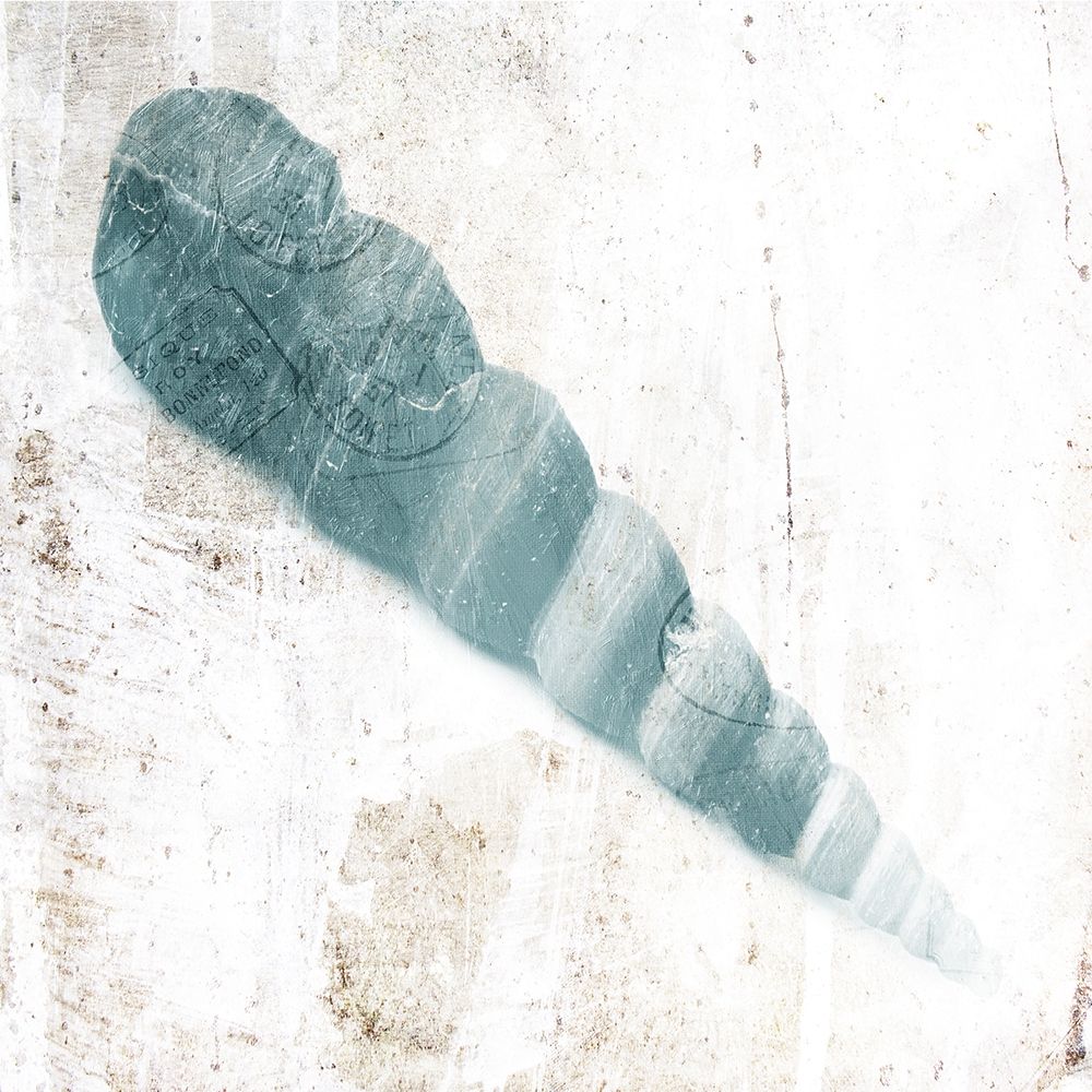 Blue Shell art print by Jace Grey for $57.95 CAD