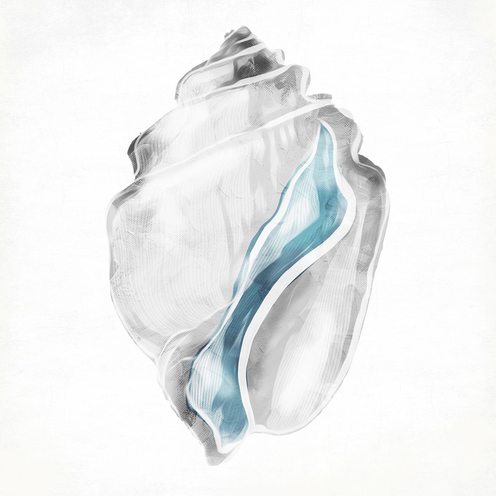 Soft Shell art print by Jace Grey for $57.95 CAD