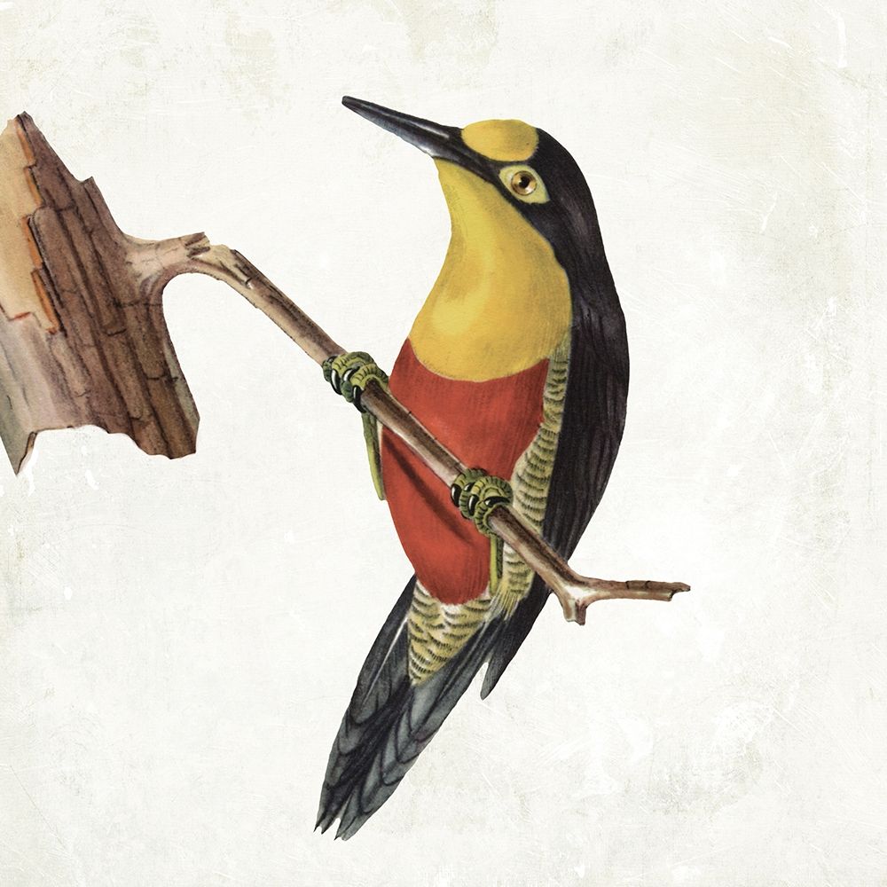 Lovely Birds 4 art print by Jace Grey for $57.95 CAD
