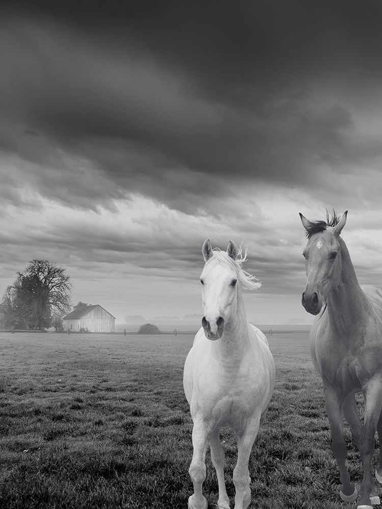 Not So Gray Times art print by Jesse Keith for $57.95 CAD