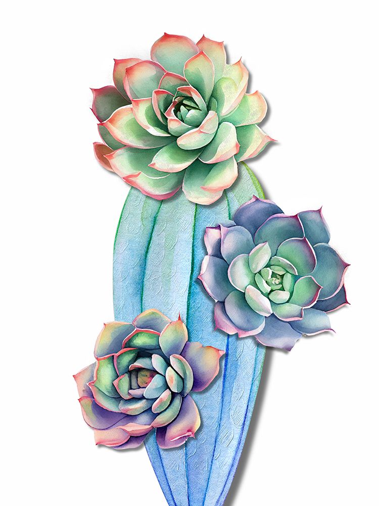 Cacti art print by Jesse Keith for $57.95 CAD