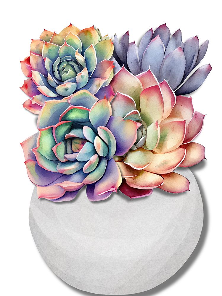 Succulent Vase art print by Jesse Keith for $57.95 CAD