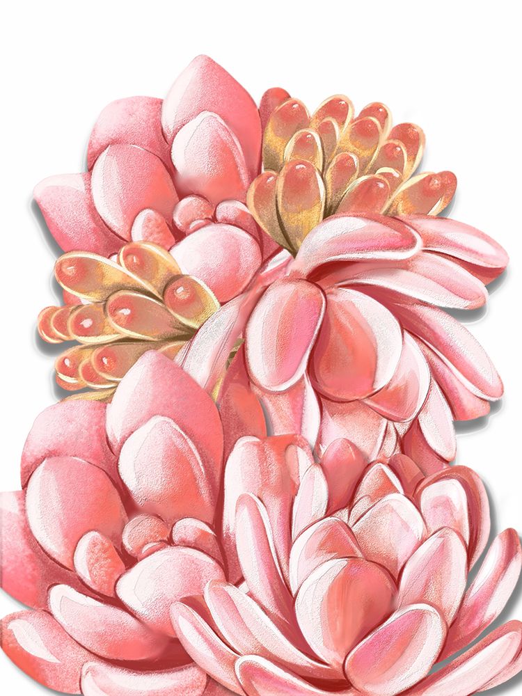 Pink Succulents art print by Jesse Keith for $57.95 CAD