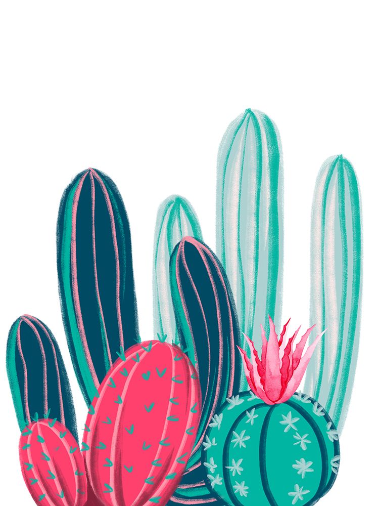 Blanco Cacti 2 art print by Jesse Keith for $57.95 CAD