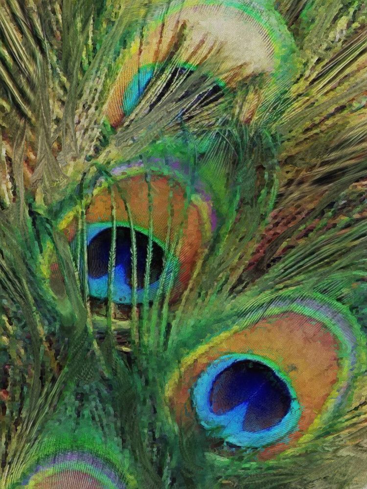 Peacock Feather Painting art print by Jesse Keith for $57.95 CAD