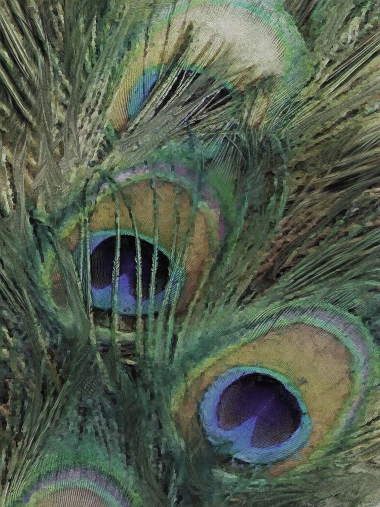 Peacock Feather Painting 2 art print by Jesse Keith for $57.95 CAD