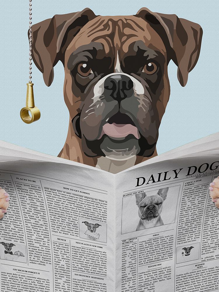 Boxer News art print by Jesse Keith for $57.95 CAD