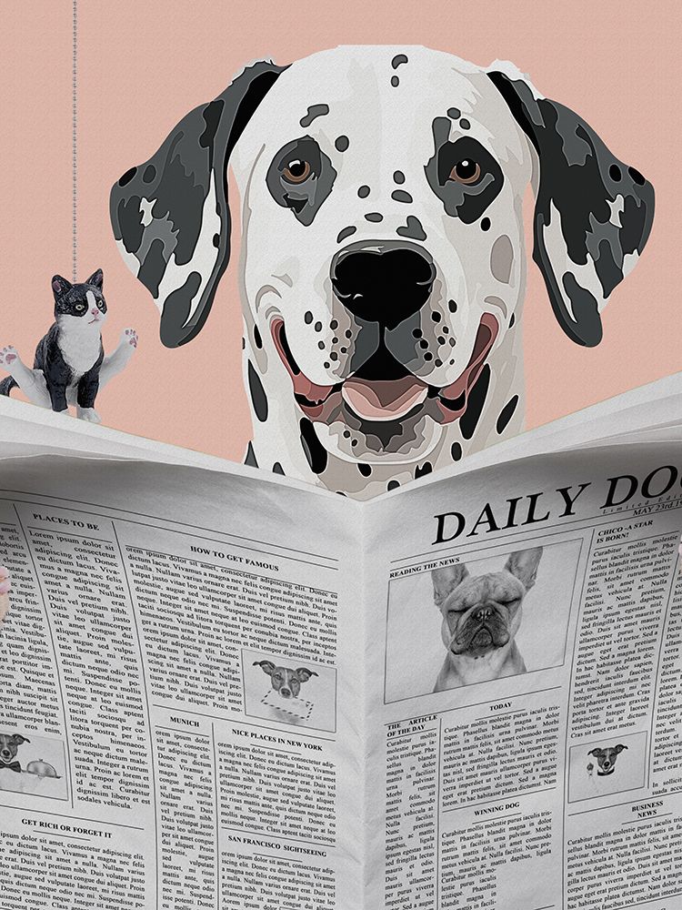 Dalmatian Daily art print by Jesse Keith for $57.95 CAD
