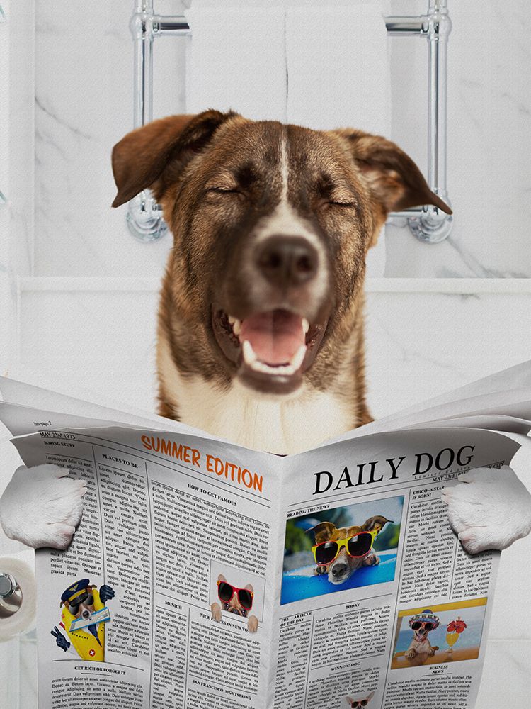Hard Dog Reading art print by Jesse Keith for $57.95 CAD