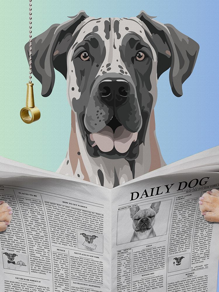Heeler Daily art print by Jesse Keith for $57.95 CAD
