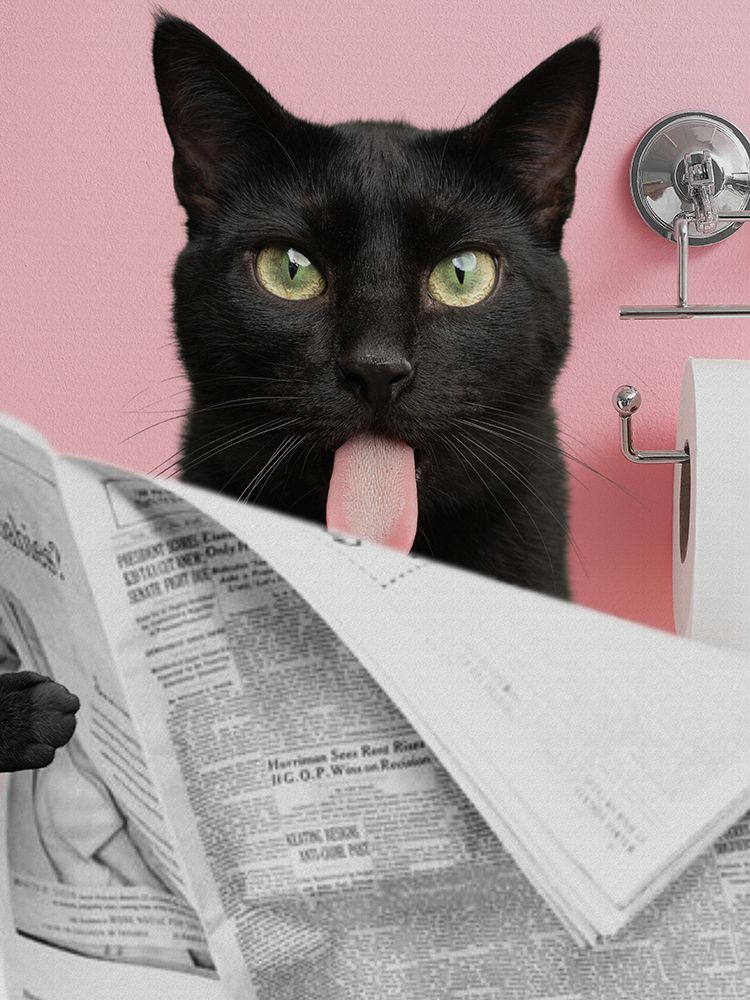 Kitty Satisfying Reading art print by Jesse Keith for $57.95 CAD