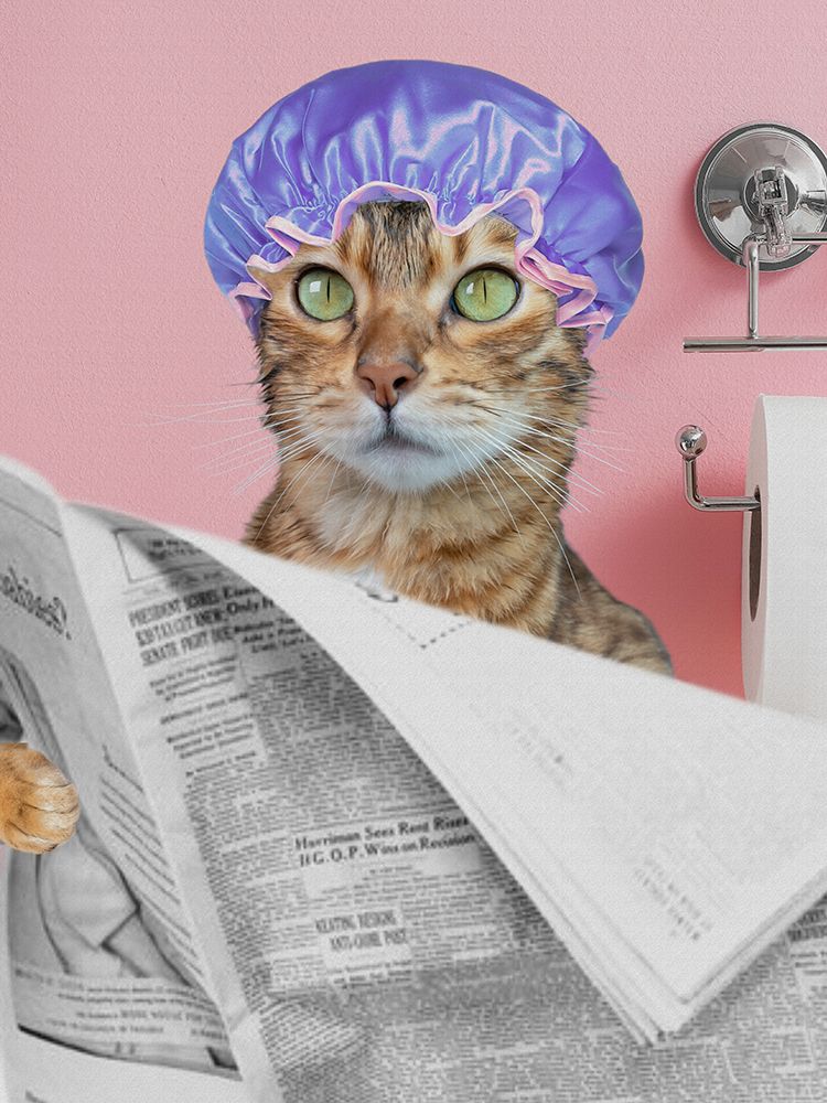 Showercap And Private Reading art print by Jesse Keith for $57.95 CAD