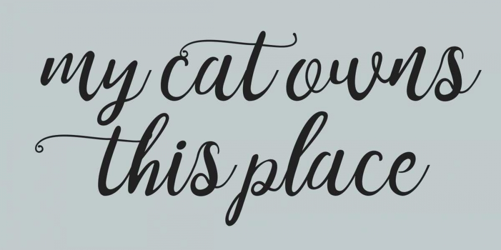 Cat Owns art print by Jelena Matic for $57.95 CAD