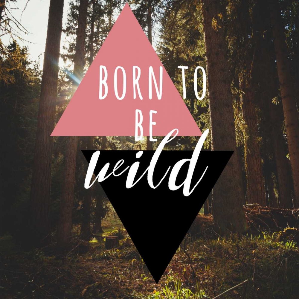Born to be Wild 2 art print by Jelena Matic for $57.95 CAD