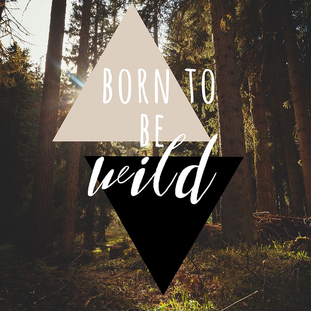 Born To Be Wild 38 art print by Jelena Matic for $57.95 CAD