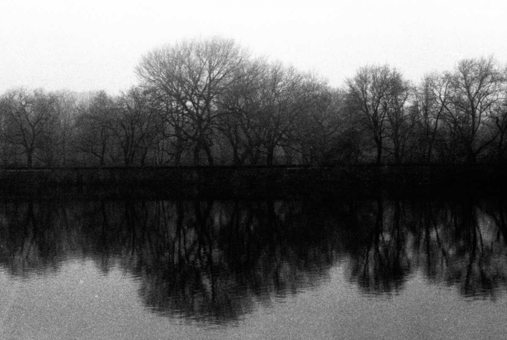 entral Park As Above So Below art print by Jace Grey for $57.95 CAD