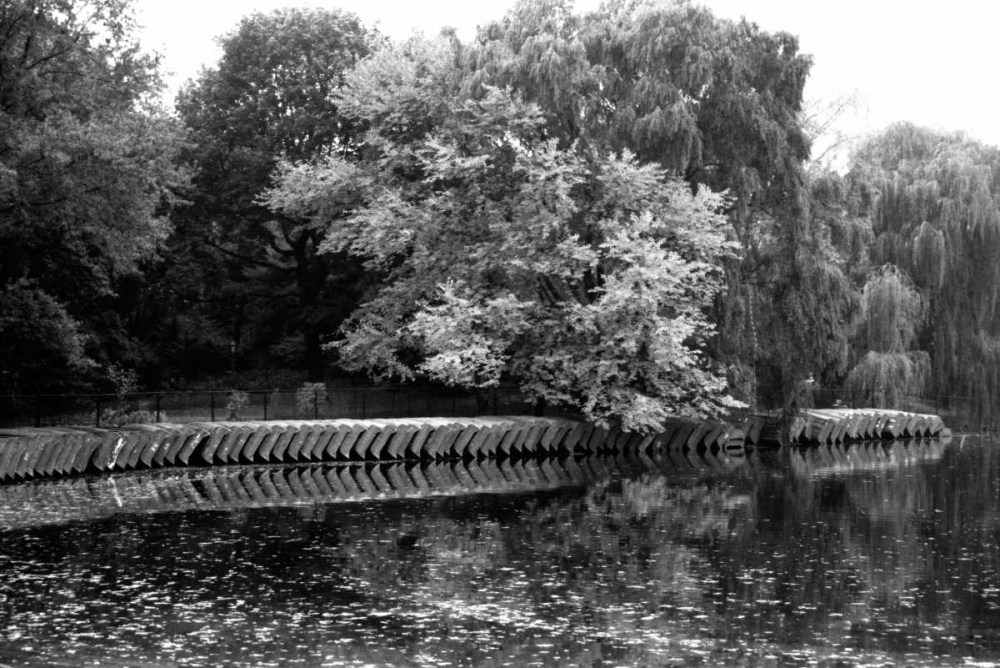 entral Park Feather H art print by Jace Grey for $57.95 CAD