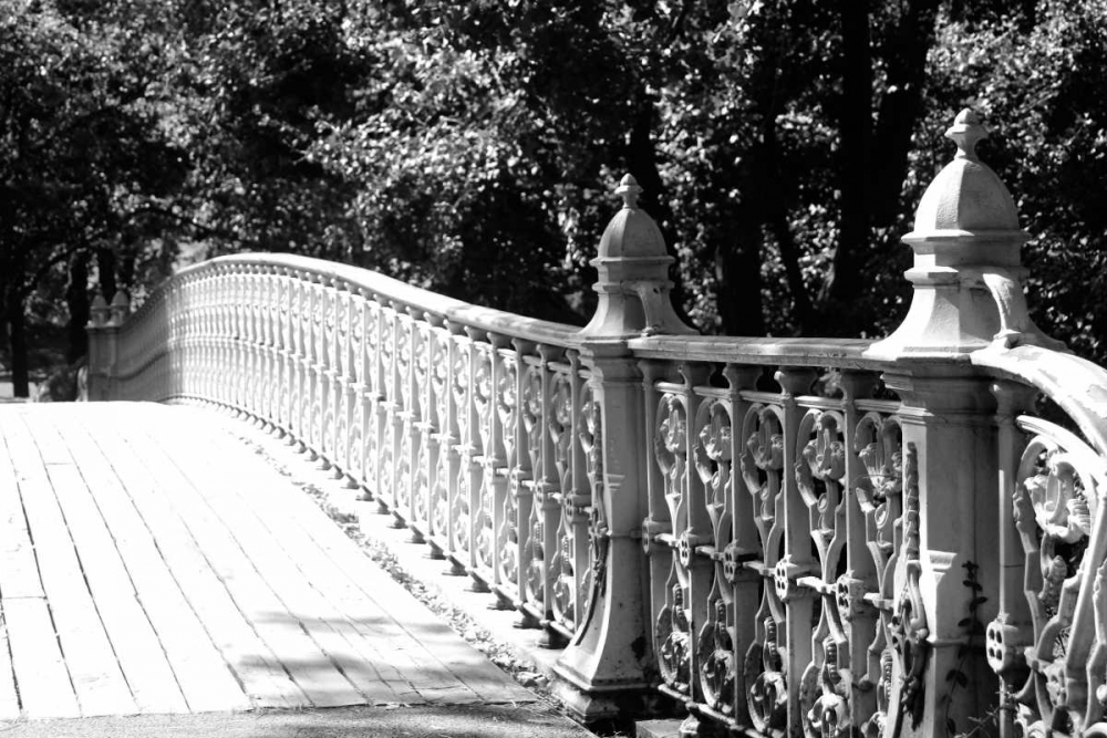 Central Park 1695 art print by Jace Grey for $57.95 CAD