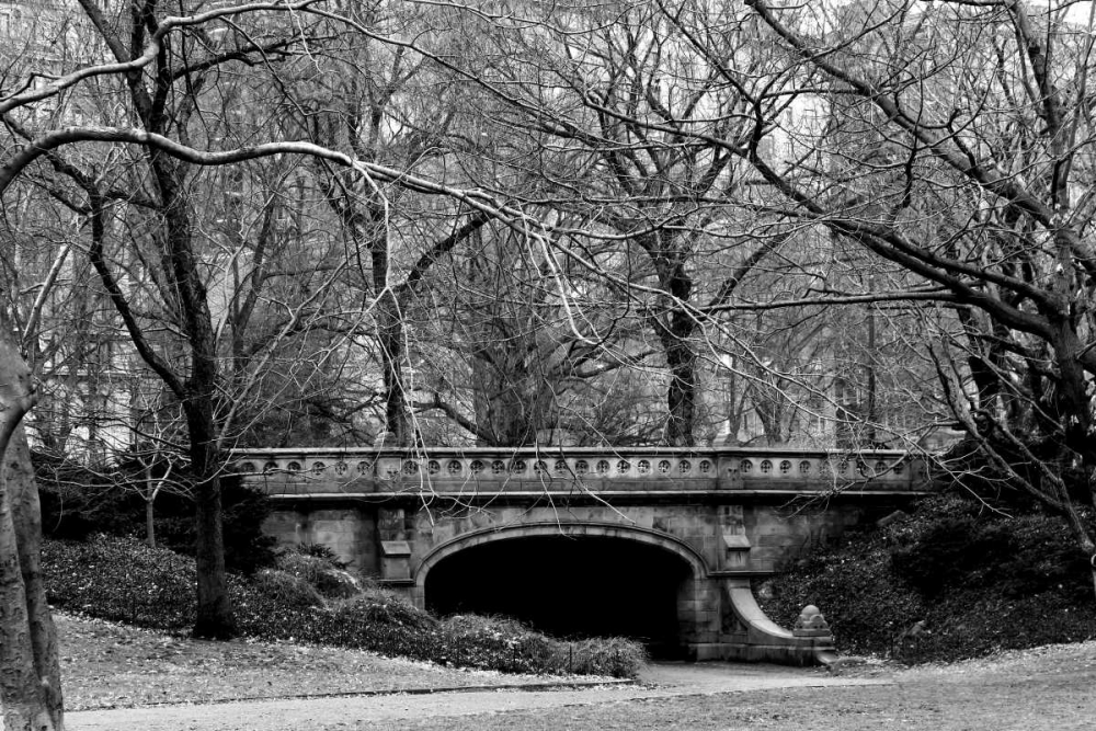 Central Park Bridge 2 art print by Jace Grey for $57.95 CAD