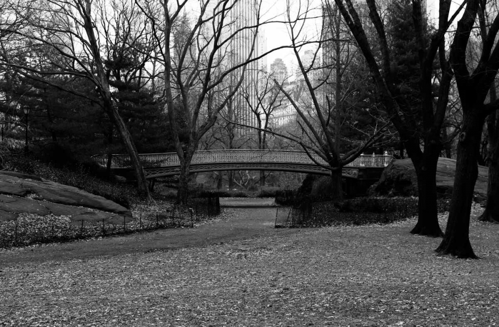 Central Park Bridge 3 art print by Jace Grey for $57.95 CAD