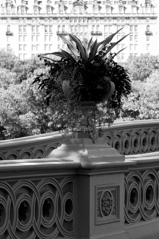 Central Park Bridge 5 art print by Jace Grey for $57.95 CAD