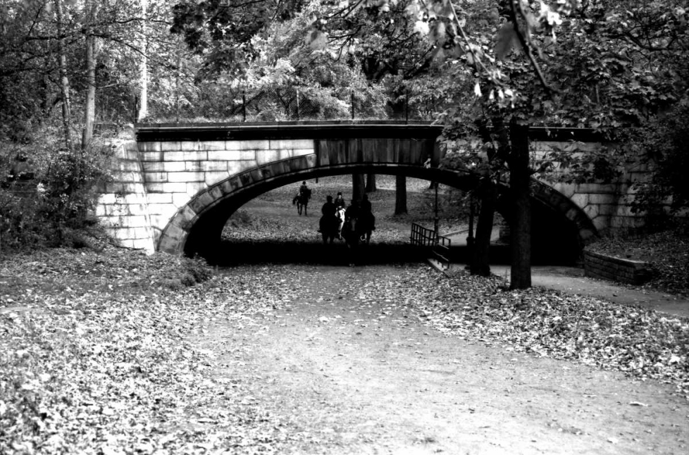 Central Park Horses art print by Jace Grey for $57.95 CAD