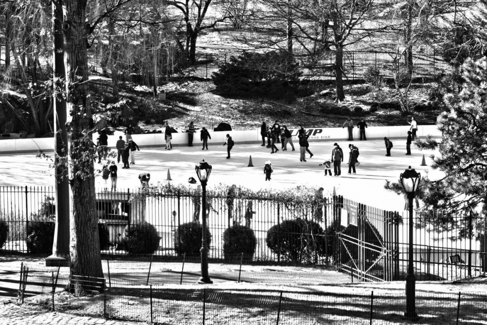 Central Park Skating art print by Jace Grey for $57.95 CAD
