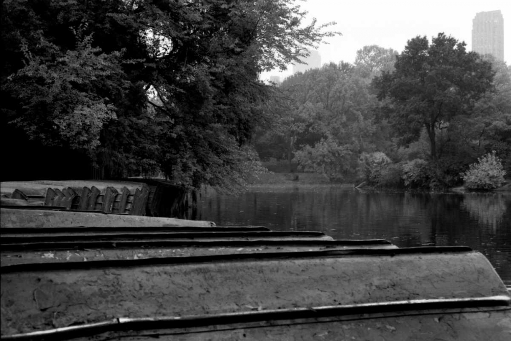 Central Park Row Boats II art print by Jace Grey for $57.95 CAD