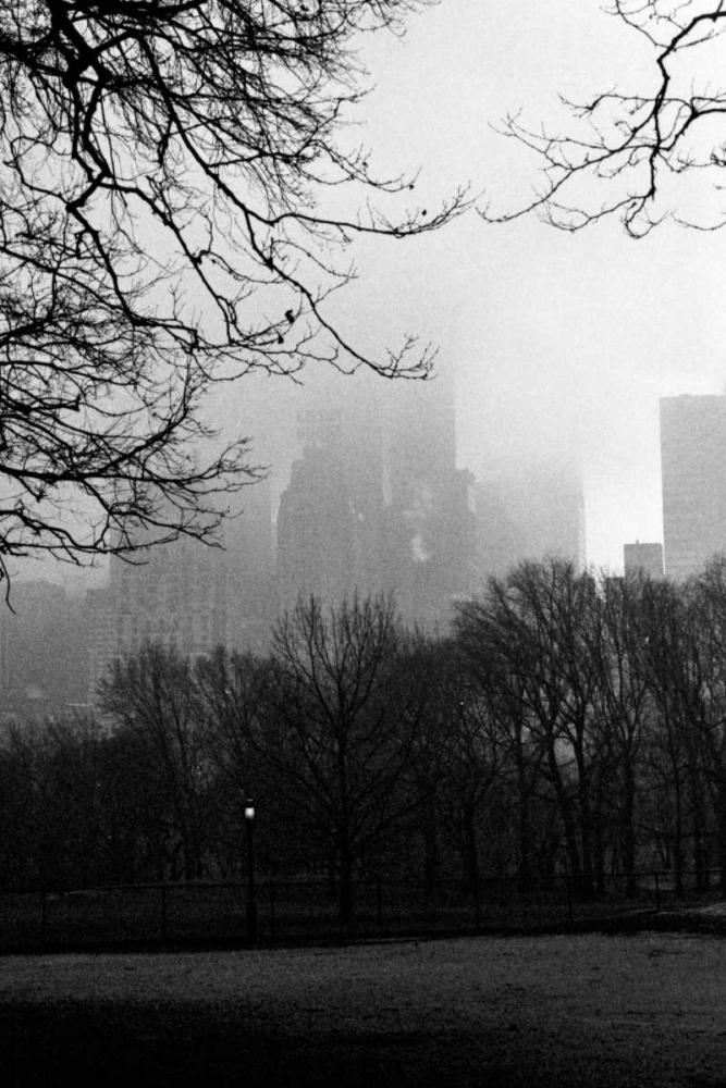 Central Park A art print by Jace Grey for $57.95 CAD