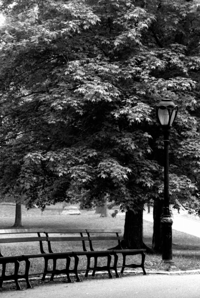 Central Park Benches art print by Jace Grey for $57.95 CAD