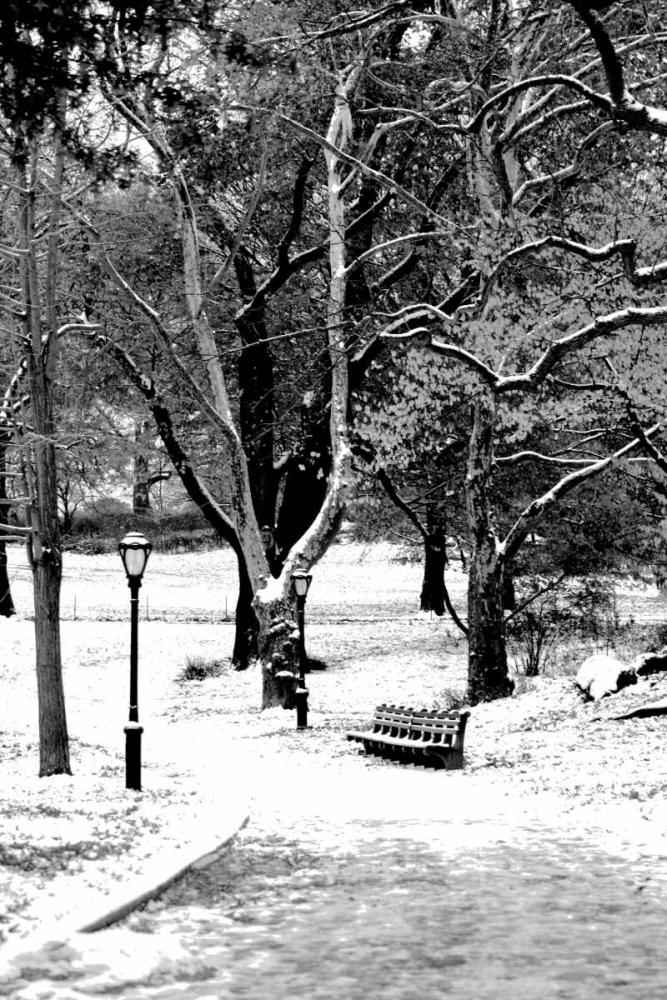 Central Park Snowy Scene art print by Jace Grey for $57.95 CAD