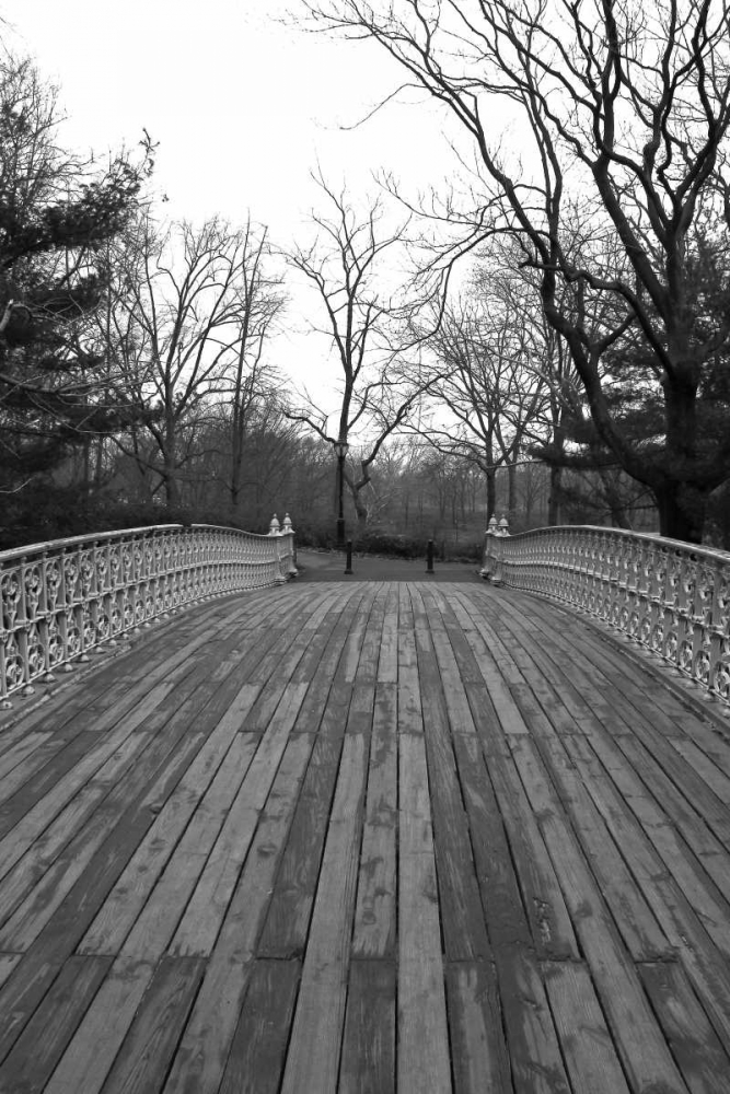 Central Park Bridge 4 art print by Jace Grey for $57.95 CAD