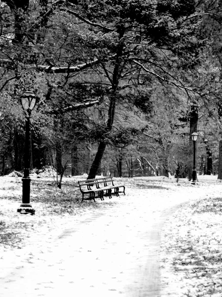 Central Park Snowy Scene 2 art print by Jace Grey for $57.95 CAD