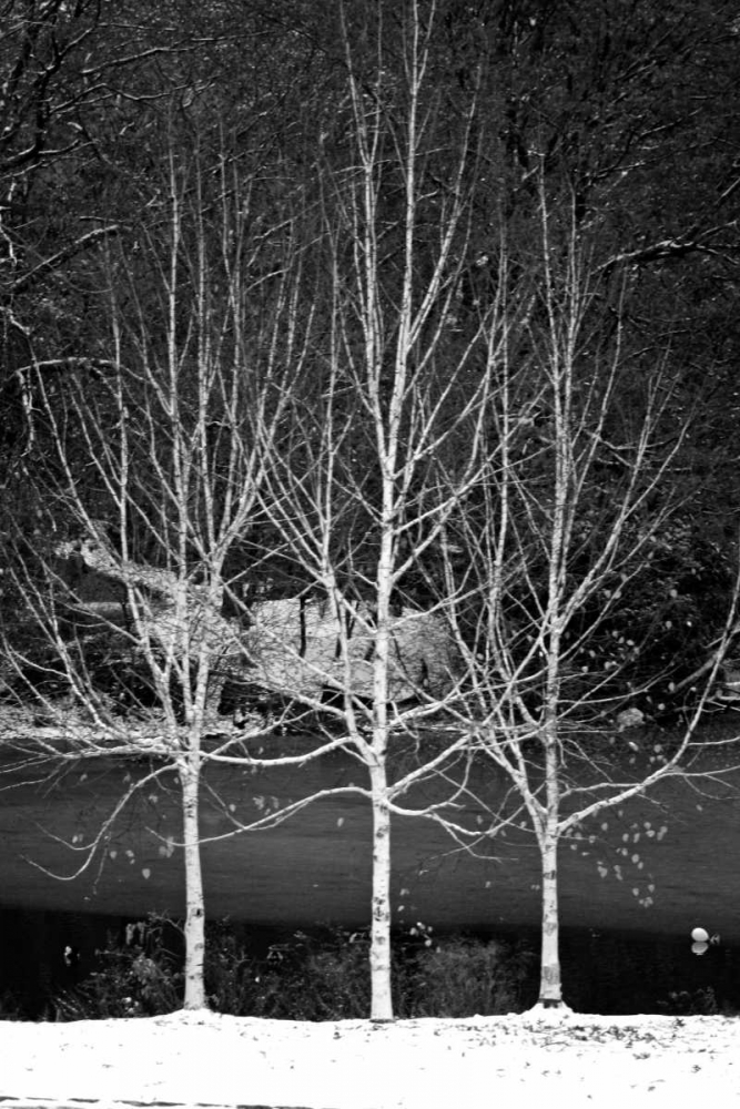 Central Park Three Amigos Winter art print by Jace Grey for $57.95 CAD