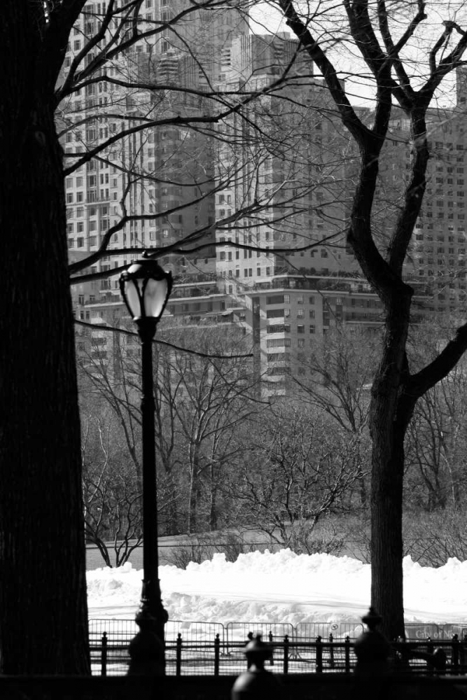 Central Park Concrete Forest art print by Jace Grey for $57.95 CAD
