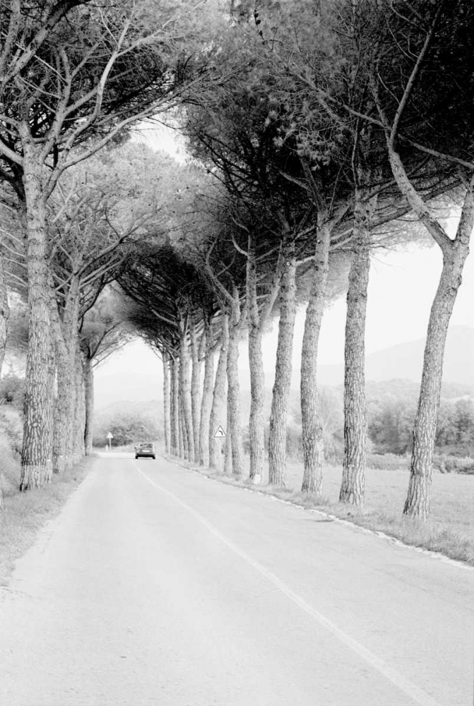 Italy 33 art print by Jace Grey for $57.95 CAD