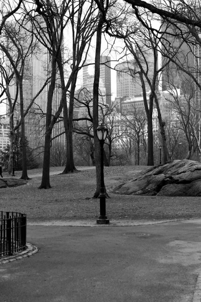 Central Park Image 062 art print by Jace Grey for $57.95 CAD