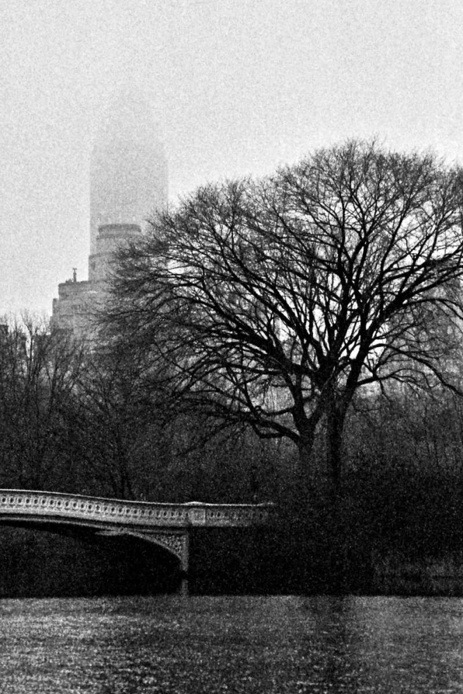 Central Park Bridge I art print by Jace Grey for $57.95 CAD