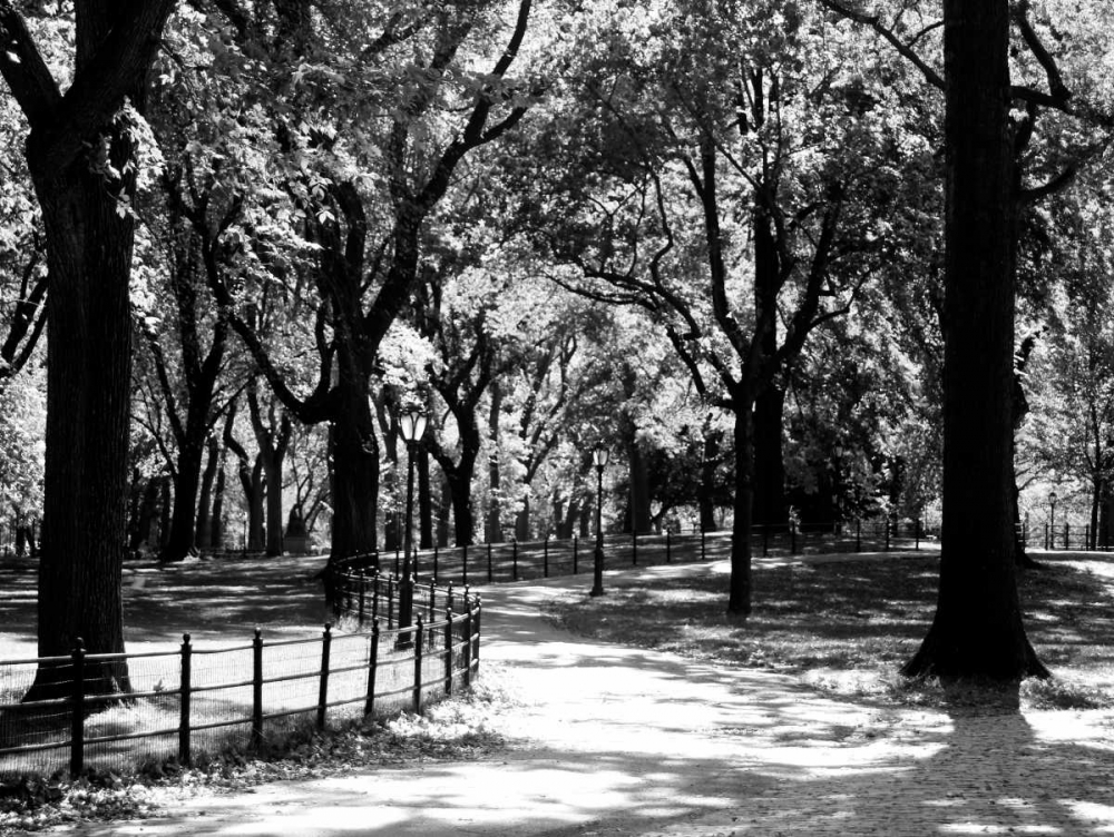 Central Park Walk art print by Jeff Pica for $57.95 CAD
